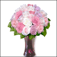 24 Pastel Long Stem Roses