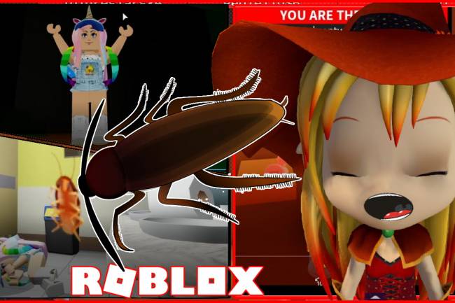 Roblox Bee Swarm Simulator Gamelog May 20 2018 Free Blog Directory - buzz roblox quiz roblox flee the facility dimer